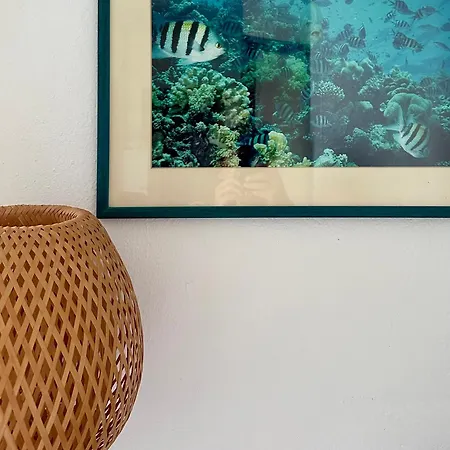 Casa Panoramica A 500 Mt Dal Mare Tatil Evi
